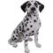 Show in main carousel: Hi-Line Gift Sitting Dalmation Statue, 20.5-in slide 1 of 6