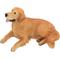 Show in main carousel: Hi-Line Gift Golden Retriever Lying Down Statue, 14-in slide 4 of 5