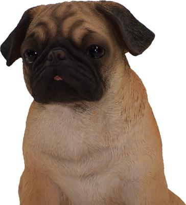 Show full view: Hi-Line Gift Sitting Pug Statue, 11-in slide 5 of 5