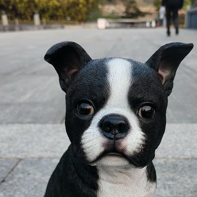 Show full view: Hi-Line Gift Chic Boston Polyresin Statue, 11.61-in slide 6 of 7