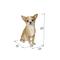 Show in main carousel: Hi-Line Gift Sitting Chihuahua Statue, 9.5-in slide 6 of 7