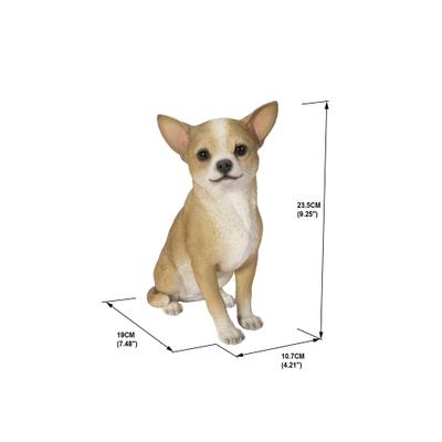 Show full view: Hi-Line Gift Sitting Chihuahua Statue, 9.5-in slide 6 of 7