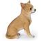Show in main carousel: Hi-Line Gift Sitting Chihuahua Statue, 9.5-in slide 4 of 7