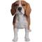 Show in main carousel: Hi-Line Gift Standing Beagle Statue, 15.5-in slide 1 of 4