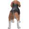 Show in main carousel: Hi-Line Gift Standing Beagle Statue, 15.5-in slide 2 of 4