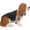 Show in main carousel: Hi-Line Gift Basset Hound Statue, 16-in slide 5 of 5