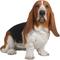 Show in main carousel: Hi-Line Gift Basset Hound Statue, 16-in slide 2 of 5