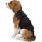 Show in main carousel: Hi-Line Gift Beagle Dog Sitting Statue, 14.88-in slide 4 of 6