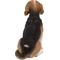Show in main carousel: Hi-Line Gift Beagle Dog Sitting Statue, 14.88-in slide 5 of 6