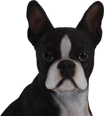 Show full view: Hi-Line Gift Boston Terrier Statue, 16.5-in slide 6 of 6