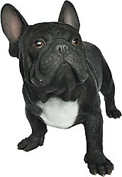 Hi-Line Gift French Bulldog Statue, 14-in
