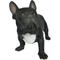Show in main carousel: Hi-Line Gift French Bulldog Statue, 14-in slide 1 of 5
