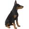 Show in main carousel: Hi-Line Gift Sitting Doberman Pinscher Statue, 24-in slide 4 of 5