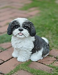 Hi-Line Gift Sitting Shih Tzu Statue, 10.5-in