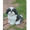 Show in main carousel: Hi-Line Gift Sitting Shih Tzu Statue, 10.5-in slide 1 of 5