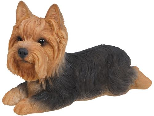 Show full view: Hi-Line Gift Yorkshire Terrier Lying Down Statue, 4.53-in slide 3 of 6