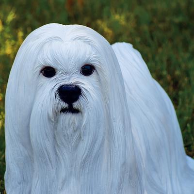 Show full view: Hi-Line Gift Maltese Statue, 10-in slide 6 of 6