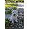 Show in main carousel: Hi-Line Gift Sitting White Terrier Statue, 12-in slide 1 of 5