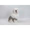 Show in main carousel: Hi-Line Gift Old English Sheepdog Statue, 17.75-in slide 2 of 6