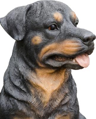 Show full view: Hi-Line Gift Rottweiler Sitting Statue, 20.87-in slide 7 of 7