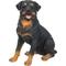 Show in main carousel: Hi-Line Gift Rottweiler Sitting Statue, 20.87-in slide 2 of 7