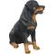 Show in main carousel: Hi-Line Gift Rottweiler Sitting Statue, 20.87-in slide 3 of 7