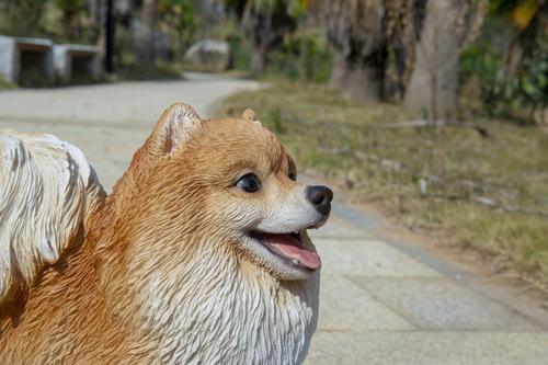 Show full view: Hi-Line Gift Standing Pomeranian Statue, 11.61-in slide 7 of 9