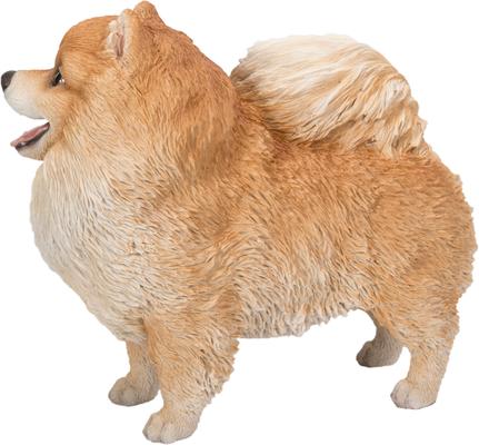 Show full view: Hi-Line Gift Standing Pomeranian Statue, 11.61-in slide 3 of 9