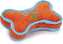 Zanies Birthday Pup Bone Squeaky Dog Chew Toy, Orange