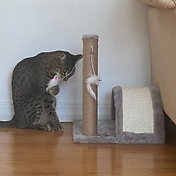 Meow Town Cat Teaser Magnet Owl Cat Toy slide 2 of 5