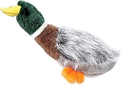Griggles Squawk Flock Mallard Squeaky Plush Dog Toy