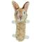 Show in main carousel: FurRealz Tubular Squeaker Rabbit Dog Chew Toy slide 1 of 2