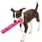 Show in main carousel: Digger's Crinkle Stuff Stick Dog Chew Toy, Pink slide 2 of 3