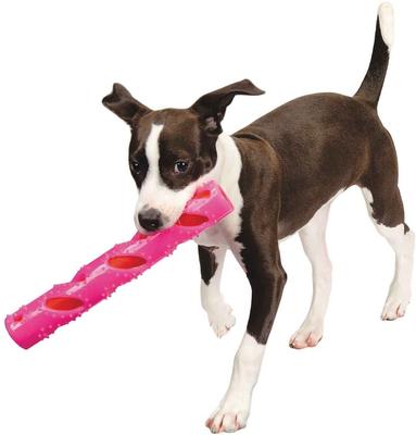 Show full view: Digger's Crinkle Stuff Stick Dog Chew Toy, Pink slide 2 of 3
