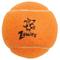 Show in main carousel: Zanies Rainbow Tennis Ball Dog Toy, 2.5-in, 6 count slide 3 of 8