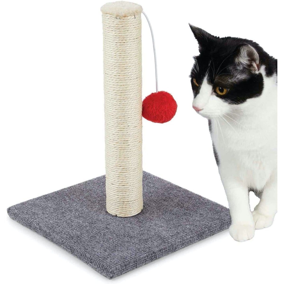 Scruffy's Sisal Scratch Post Cat Toy