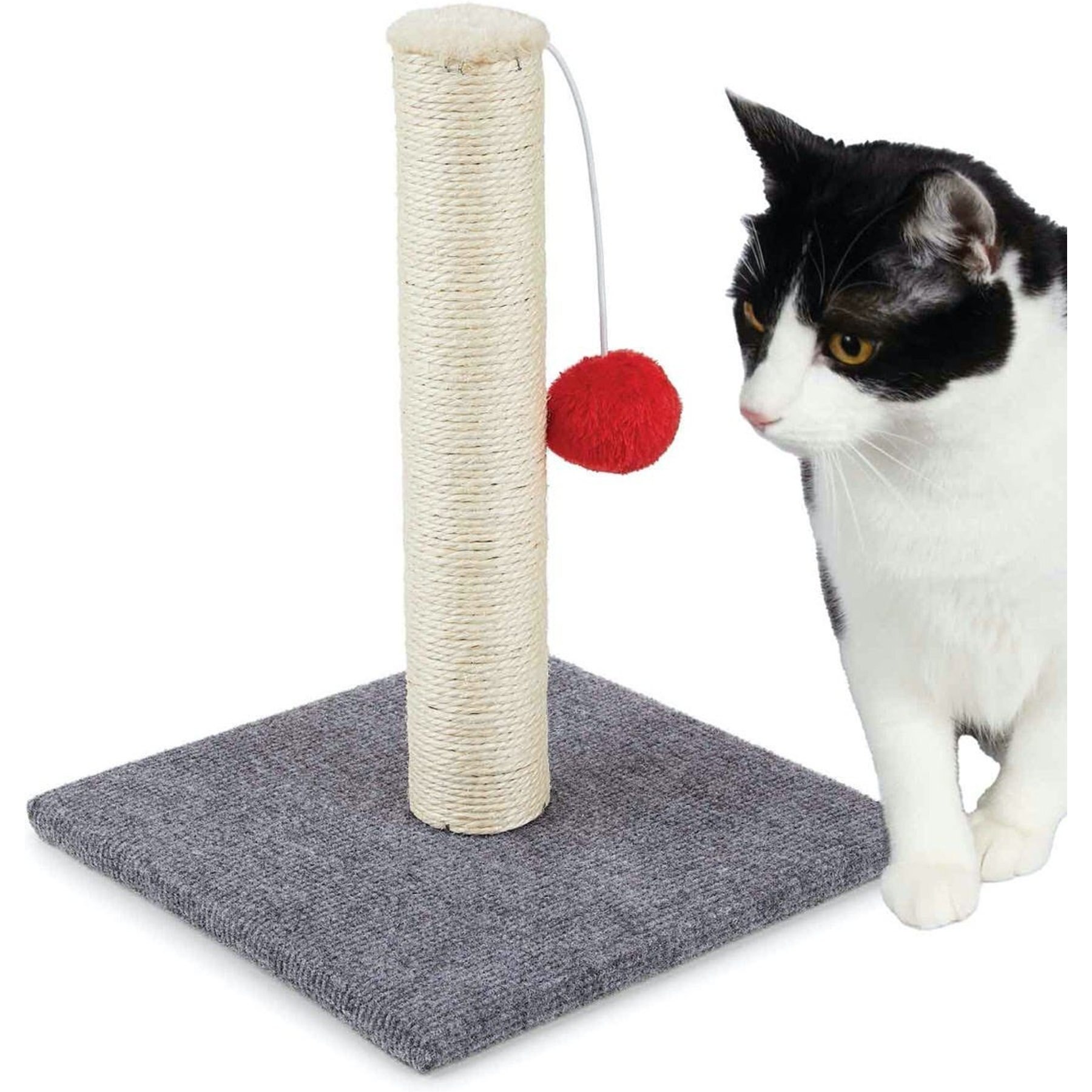 Scruffy's Sisal Scratch Post Cat Toy