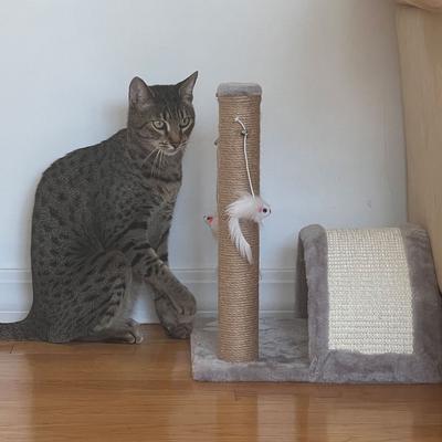 Show full view: Meow Town Paw Bridge & Scratcher Pole Cat Toy slide 2 of 5