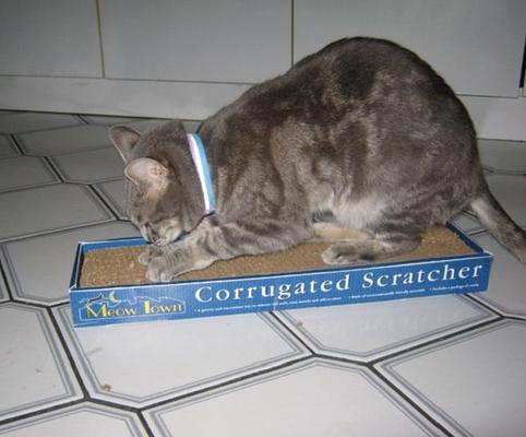 Show full view: Meow Town Corrugated Scratcher 19-in Cat Toy slide 6 of 6