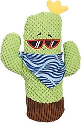Zanies Sassy Cactus with Shades Squeaky Dog Chew Toy
