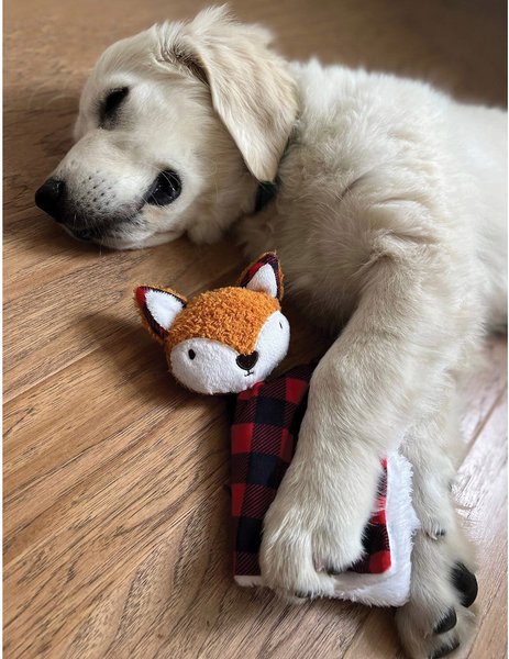 Zanies Buffalo Check Fox Puppy Blanket Squeaky Dog Chew Toy