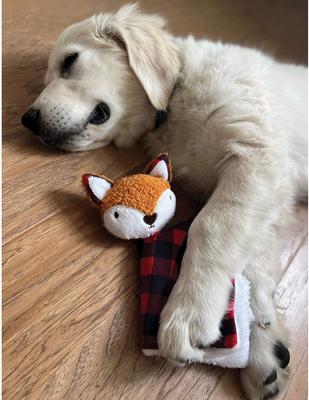 Show full view: Zanies Buffalo Check Fox Puppy Blanket Squeaky Dog Chew Toy slide 6 of 6