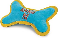 Zanies Birthday Pup Bone Squeaky Dog Chew Toy, Blue