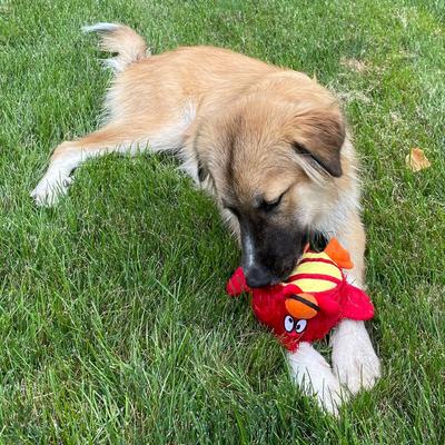 Show full view: Zanies 1st Responder Fireman Squeaky Dog Chew Toy slide 3 of 3