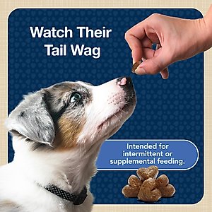 Blue Buffalo Blue Bits Tasty Chicken Recipe Soft-Moist Training Dog Treats, 4-oz bag