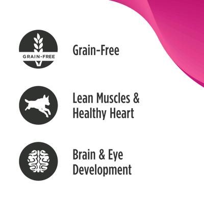 Show full view: Nulo Puppy Grain-Free Chicken, Salmon, & Lentils Recipe Wet Pate Canned Dog Food, 13-oz, case of 12 slide 4 of 12