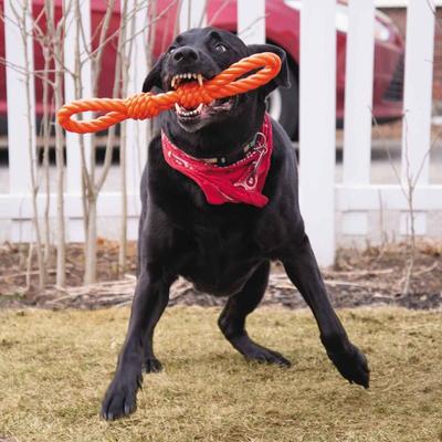 Show full view: Infinity TPR Double Fist Tug Dog Chew Toy, Orange slide 4 of 5