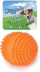 Digger's Latex Needle Squeaky Dog Ball Toy