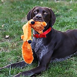 FurRealz Flattie Ballistic Belly Fox Dog Chew Toy, 18-in, 18-in slide 2 of 4