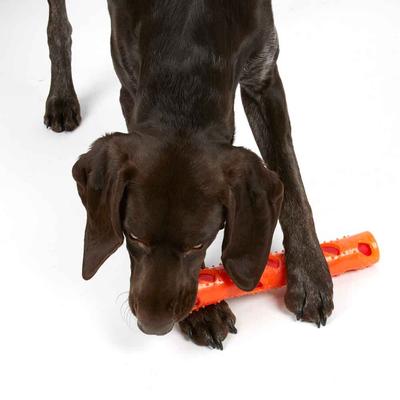 Show full view: Digger's Crinkle Stuff Stick Dog Chew Toy, Orange slide 3 of 4